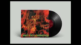 OUT SOON - The Bush Chemists - Dub Fire Blazing  - Partial LP - PRTLLP012