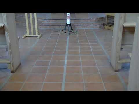 Påskdagens mässa från Allhelgonakyrkan, Vreta klosters församling.