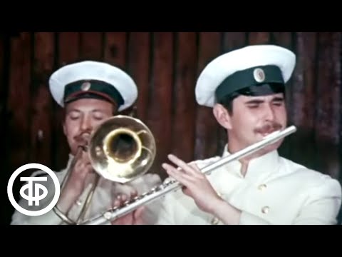 Воспоминание о военном оркестре (1980)