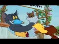 Tom And Jerry Flirty Birdy Top Games Movies