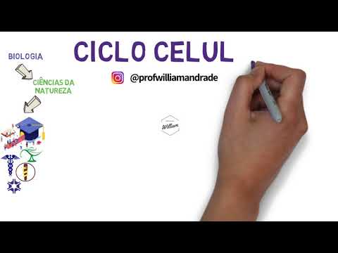 Summary of the cell cycle - Interphase, cell division, mitosis and meiosis