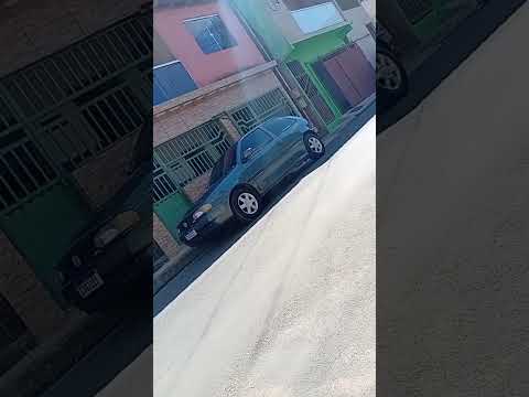 golzinho madruva entre folhas mg