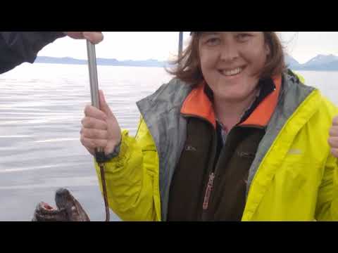 Andorja Adventures 2019