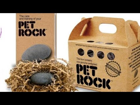 Pet Rock - The Original by Gary Dahl