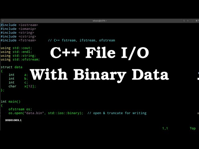Thumbnail of Binary file I/O lesson