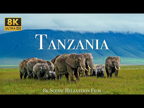 Tanzania 8K - Scenic Wildlife Film With African Music