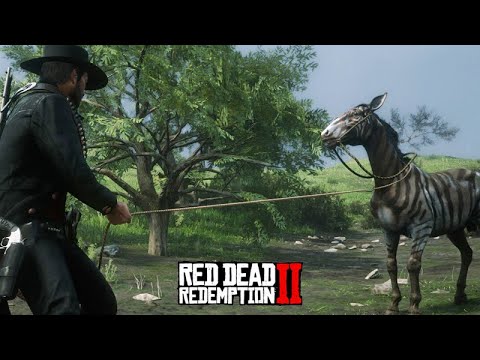 The Horse Tamer - CAPTURING the ZEBRA - Red Dead Redemption 2