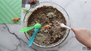 Fossils for Kids: Dino Dig Excavation Activity