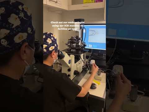 Watch an ICSI procedure!