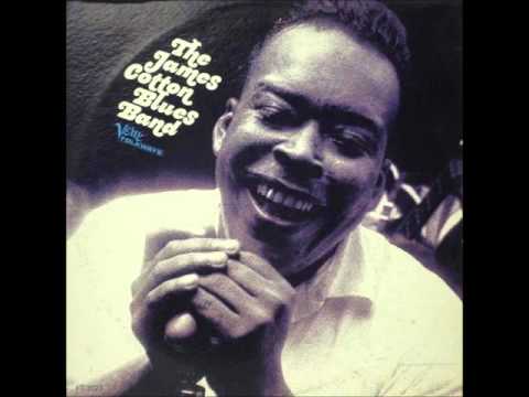 JAMES COTTON BLUES BAND (Tunica ,Mississippi, U.S.A) - Blues In My Sleep (instr.)