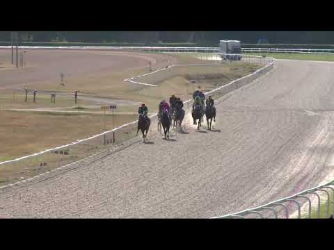 2022.07.03. 10. futam - HERENDI PORCELÁNMANUFAKTÚRA ZRT. DÍJA - MEZŐHEGYESI DÍJ (II.kat.) (szinteti)