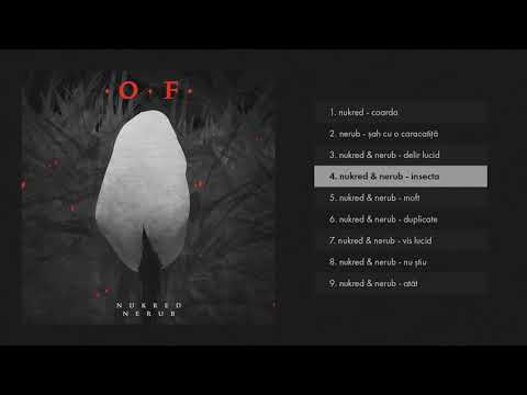 nUKred & Nerub - Insecta