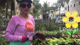 How To Aerate Your Vegetable Garden