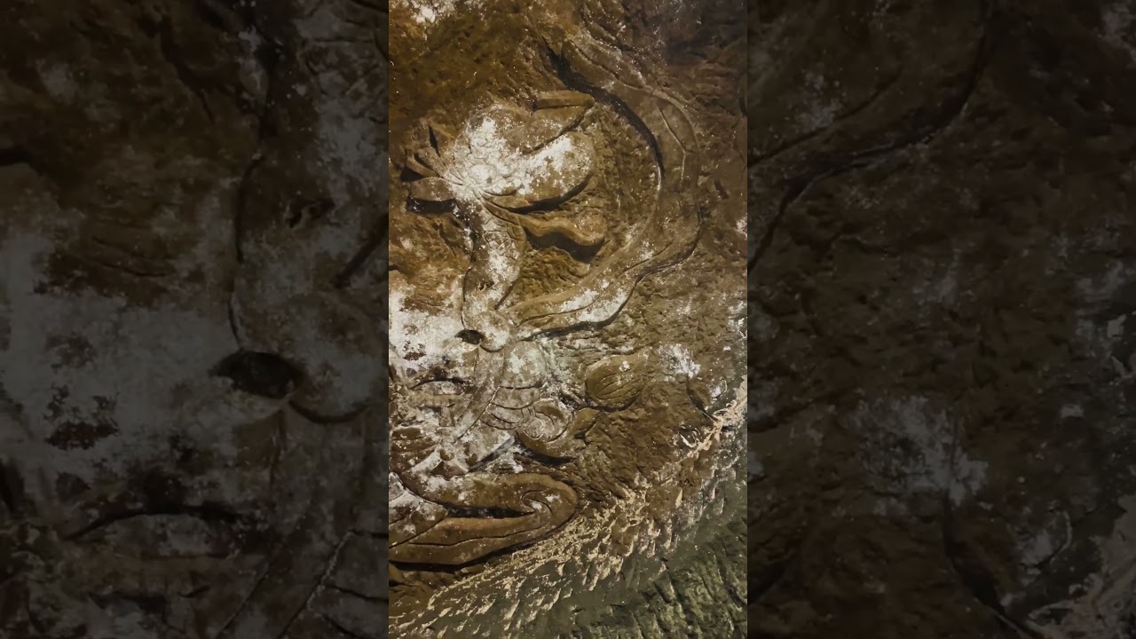 YouTube Short thumbnail