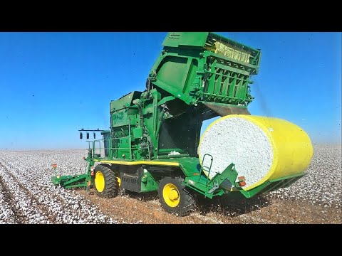 COMO se HACE el ALGODÓN para la ROPA👕| ASÍ se HACE el HILO de ALGODÓN🧵