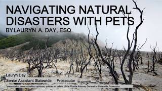 Natural Disasters with Pets: A Discussion on Trooper’s Law and Best Practices for Preparation