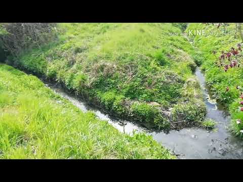 Prezentare. Parau. La. Intrare in comuna. Zam