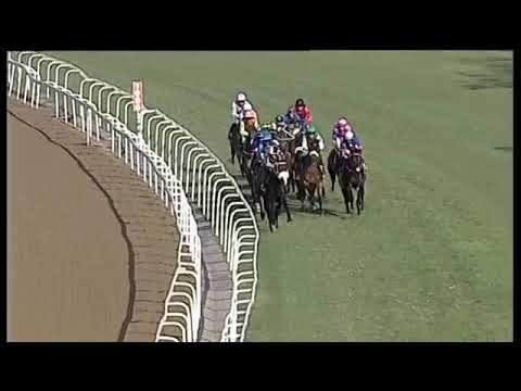 2019.07.27 Premiers Champion Stakes (RSA) - Got The Greenlight.