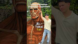 Download lagu Learn Japanese adjectives opposites #japan #japanese #learnjapanese mp3