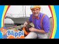 Blippi Explores A Boat And More Blippi Animals For Kids