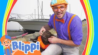 Download lagu Blippi Explores a Boat and More! | Blippi | Animals for Kids mp3