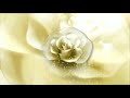 Vellai Nirame Vellai Nirame Love Song Status Status Song Tamil Song Status