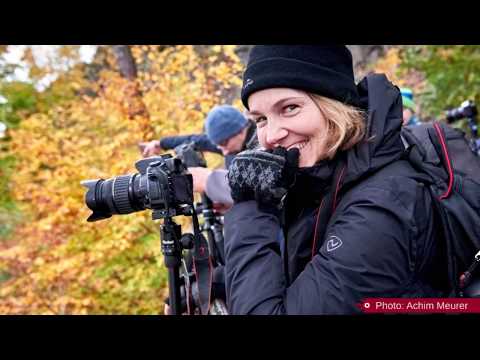 Impressionen Fotocamp HerbstlichT 2018, Bad Schandau, Sächsische Schweiz
