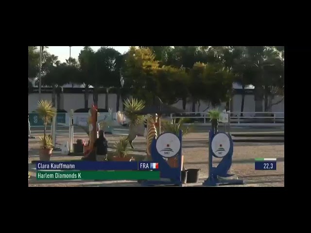 Entire Selle Fran&ccedil;ais For sale 2017 Grey