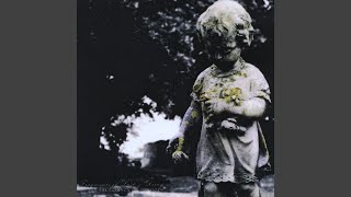 Until the Light of Day