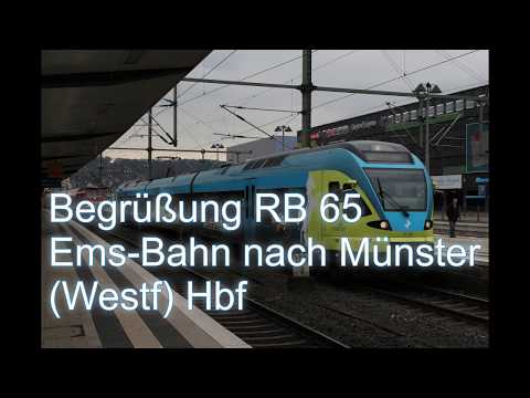 [ WestfalenBahn ] RB 65 ( Ems-Bahn )