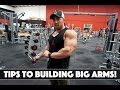 TIPS TO BUILDING BIG ARMS