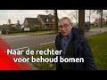 Milieuclubs boos om kappen bomen voor wegverbreding: '180 bomen weg voor 20 centimeter meer ruimte'