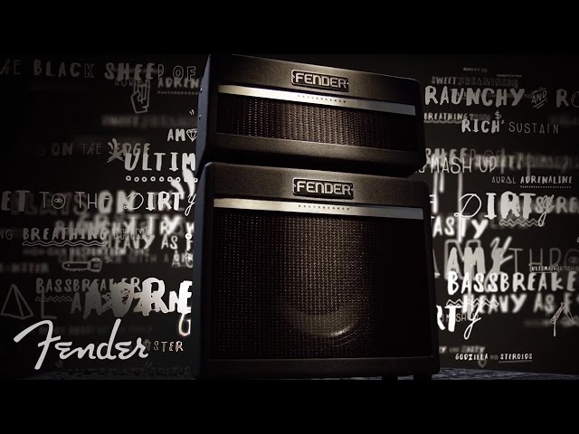 Fender bassbreaker hotsell cabinet