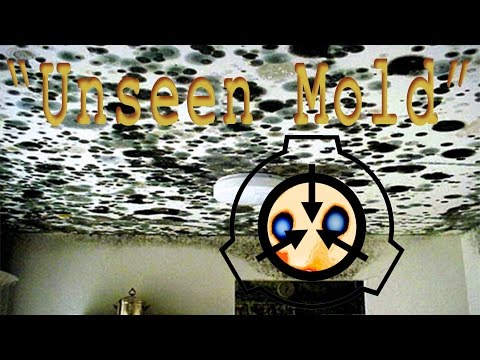 SCP-020 (Unseen Mold)