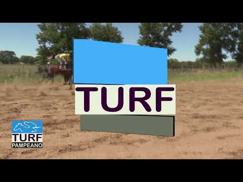 Turf - VICTORICA - LA PAMPA - 2-11-25 - Fotochart Fernandez
