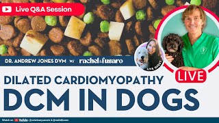 Heart Disease Risks and Prevention in Dogs