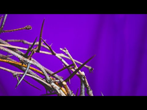 Evangelho do dia 12/03/21 - Amar - Mc 12,28-34