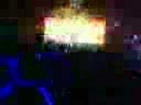 Rex the Dog at Low Club