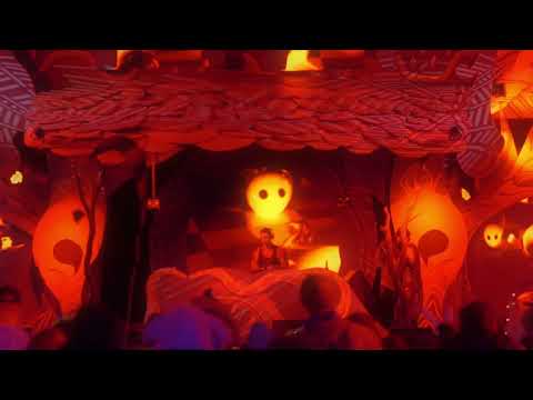 RABBITS EAT LETTUCE 2022