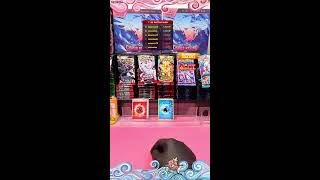 Slowpoke Corner TCG Live Stream