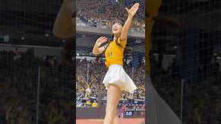 【荷律】許基宏應援曲#台湾チアリーディングチーム#中華職棒#CPBL#洲際#20240922（周思齊引退賽）