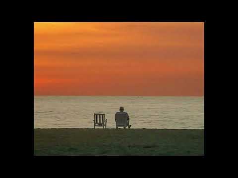 [FREE] rxseboy x powfu lofi type beat - "haven"