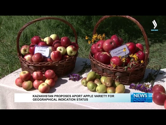 Kazakhstan proposes Aport apple variety for geographical indication status