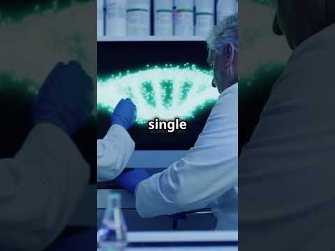 What is Single Nucleotide Polymorphism (SNP)?