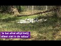 'Ronduit schandalig', weer lading afval gedumpt in Veluwse natuur