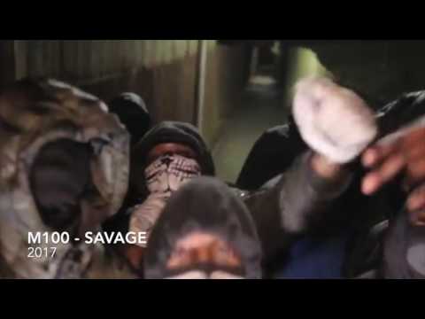 M100 (AR) - SAVAGE #2017