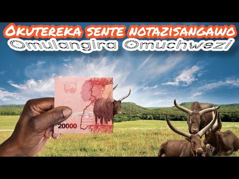 Okuteleka sente nga tozisangawo kyeki? - Omulangira Omuchwezi