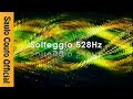 528HZ FREQUÊNCIA DOS MILAGRES LIMPEZA DE ENERGIAS NEGATIVAS E FREQUÊNCIA DE CURA PELO AMOR