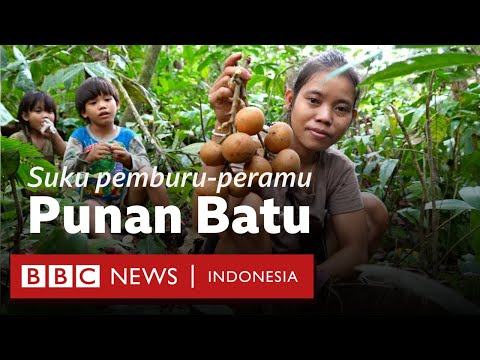Suku pemburu-peramu Punan Batu: Bertahan di hutan atau bertarung melawan zaman - BBC News Indonesia