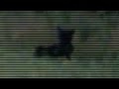 Michigan Dog Man caught on Video | Werewolf caught on Tape | Sighting of Strange Creature NEW 2016 Video